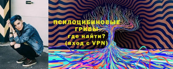 спайс Горнозаводск